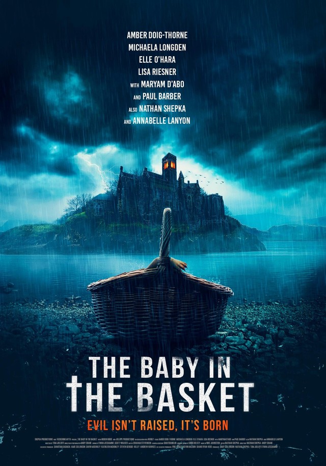 The Baby in the Basket film poster